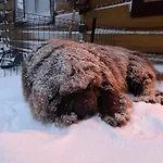 Kierunek Tatry Διαμέρισμα Bukowina Tatrzańska