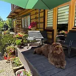Διαμέρισμα Kierunek Tatry Bukowina Tatrzańska