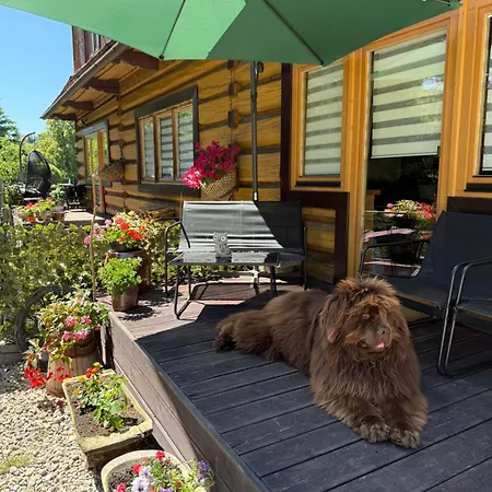 Апартаменты Kierunek Tatry Буковина-Татшаньска